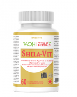 Shila Vit Ayurvedic Medicine Shilajit Extract and Ashwagandha