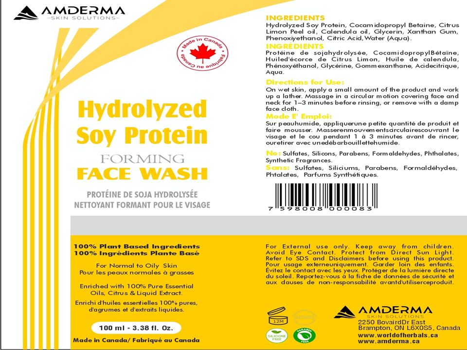 Acne Care Products in Canada. Hydrolyzed Soy Protein - Acne Care Forming Face Wash Canada